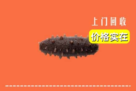 扶绥县回收海参