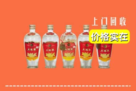 扶绥县回收老五粮液